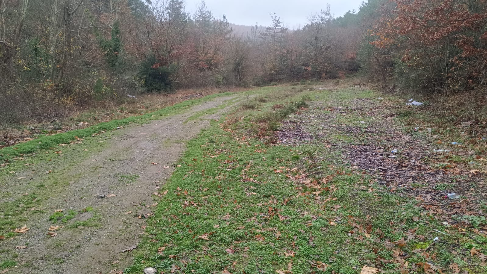 Tarla her zaman prim yapar.