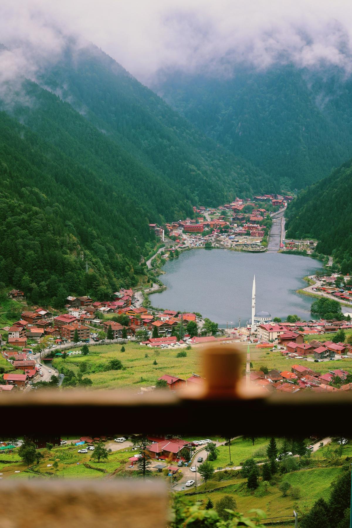 Karadeniz Bölgesi Gayrimenkul ve Arsa Yatırım Analizi