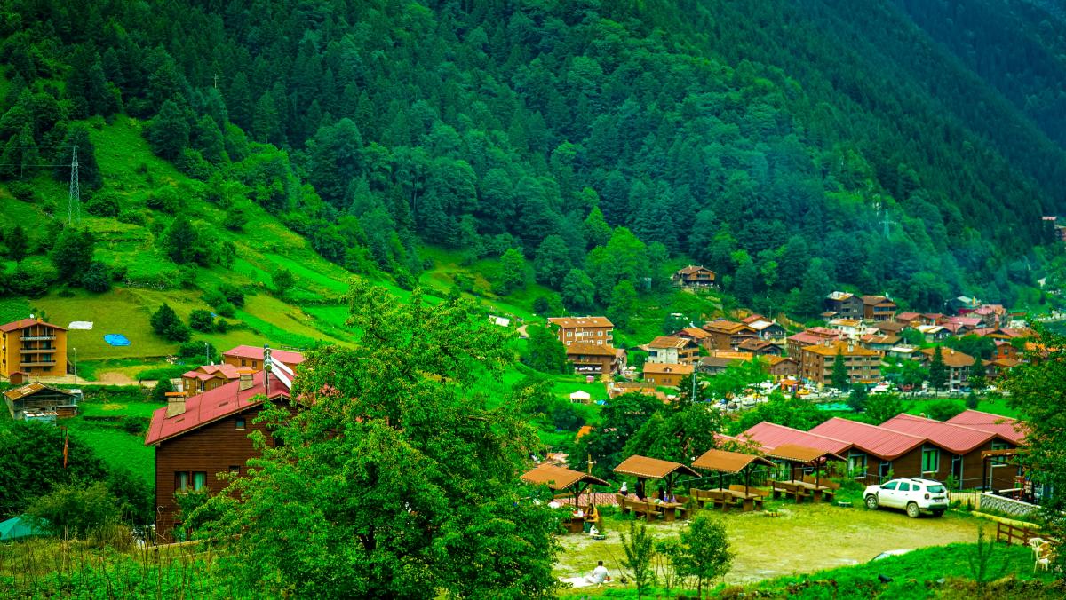 Trabzon Arsa, Tarla ve Arazi Yatırım Analizi