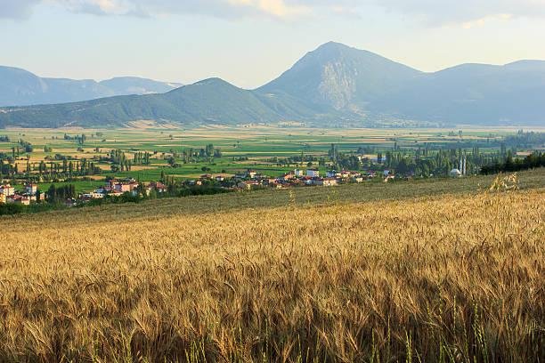 Bilecik'te Nereden Arsa Alınır? 8 İlçe, Sahadan Veriler