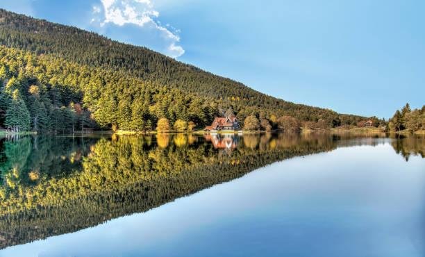 Bolu'da bungalov için arazi alınır mı? Orman vasfı, sit sınırı ve tapuda yazan
