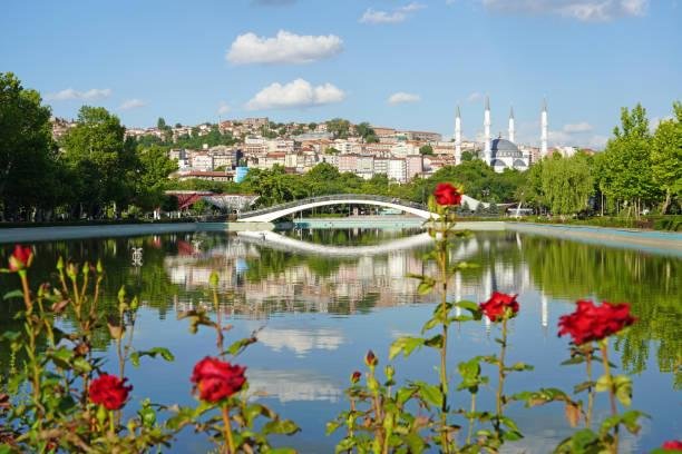 Ankara'da arsa mı tarla mı alınır? Ne yapacağına göre 20 ilçe