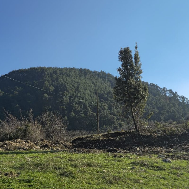 Adaletli Emlak