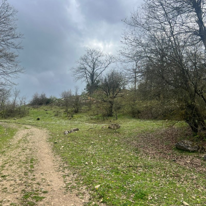Nuremlak